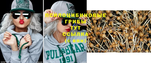 каннабис Беломорск