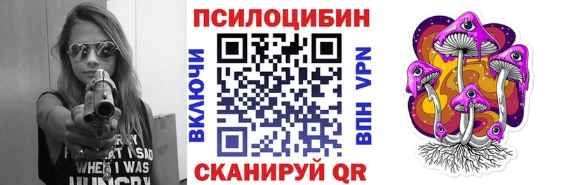 купить наркотики сайты  Волгореченск  Галлюциногенные грибы мухоморы 